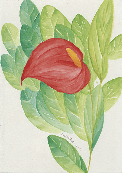 Encontre_me_janice - Janice Martins Appel copiar.jpg