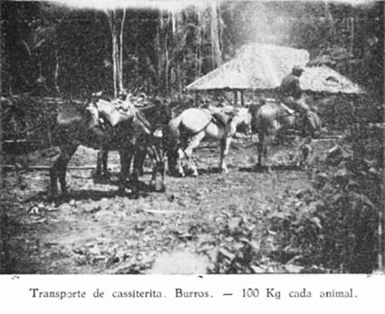 Pesquisa de Cassiterita no TF Rondonia 1966_04.jpg
