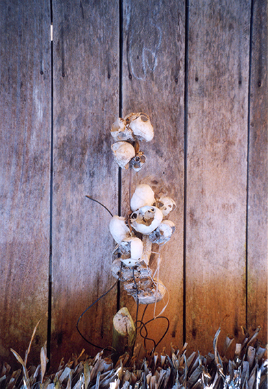 Nilson Santos (2004)_18.png