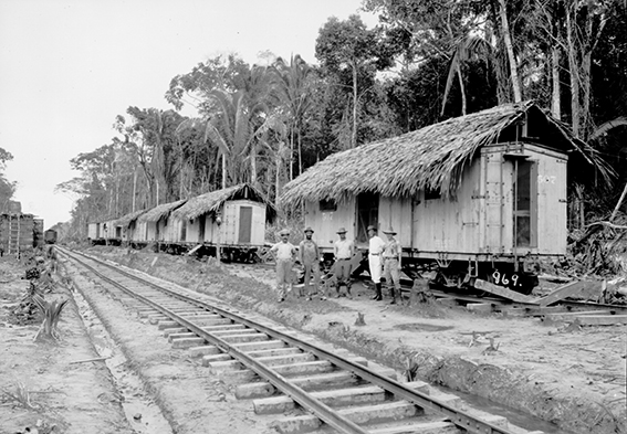 969 - Acampamento_Feito_com_Vagões_Cobertos_de_Folhas_de_Palmeiras_para_Suavizar_o_Calor_Devido_o_Sol_Forte_-_,_Acervo_do_Museu_Paulista_da_USP_(cropped).jpg
