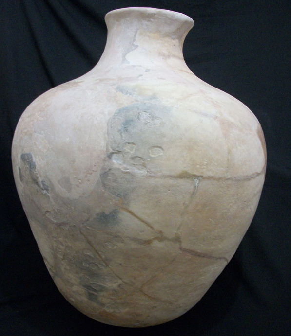 CCNM_foto_Décio (5).jpg