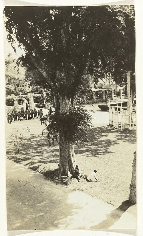 “Zwarte Dinsdag” — vítimas dos disparos, 7 fev. 1933.jpg