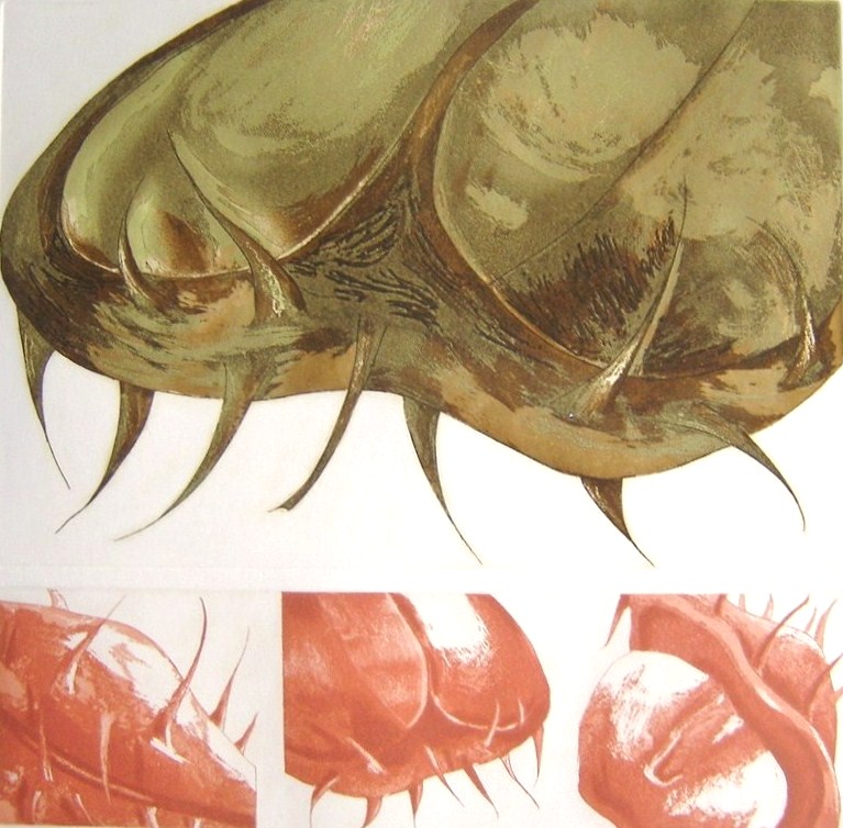 16 - outono em Donaueschingen 1 - Gravura em metal -  2007.jpg