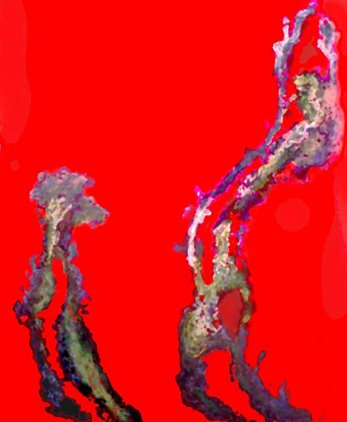 1999 - Il Riconosco - acrílica s tela.jpg