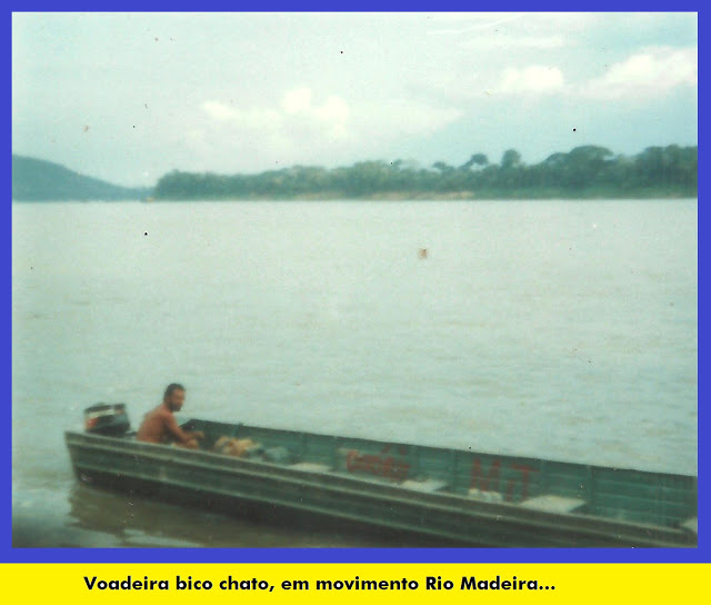 voadeira bico chato.jpg