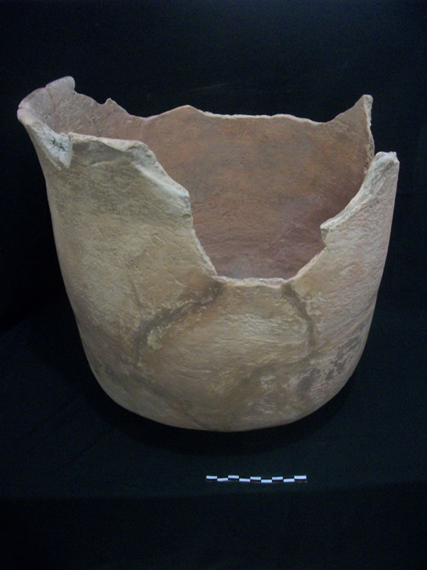 CCNM_foto_Décio (15).jpg