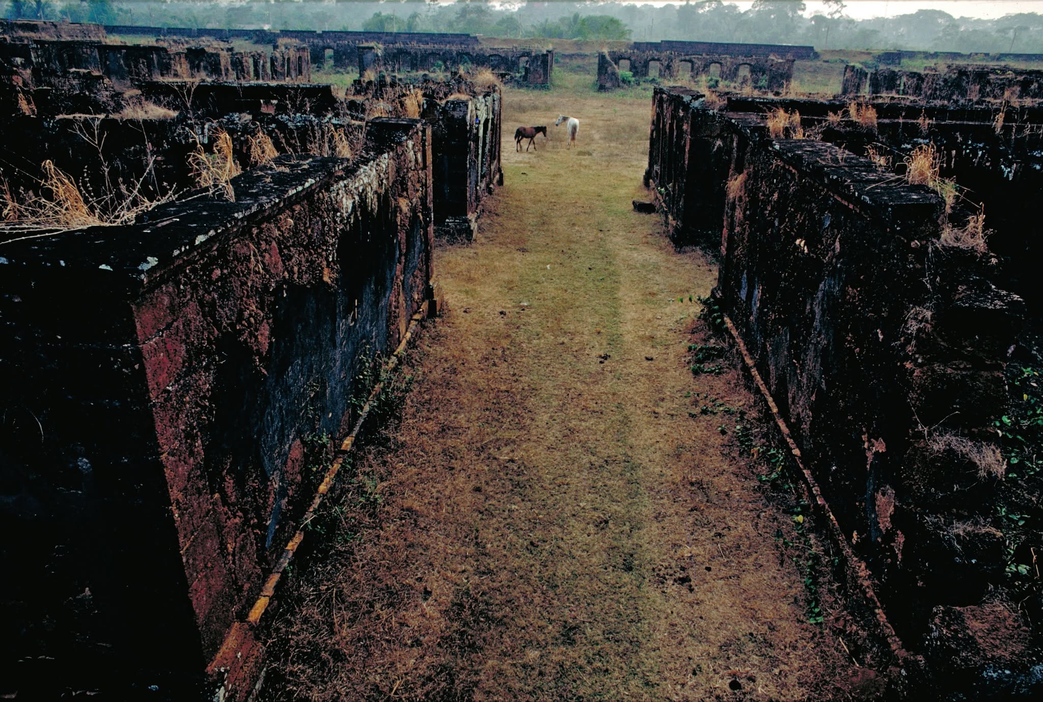 Real Forte Príncipe da Beira 1981.jpg