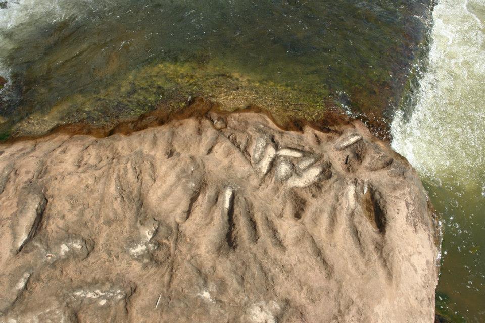 Foto Joaquim Cunha - oficina lítica2 - Cacoal.jpg