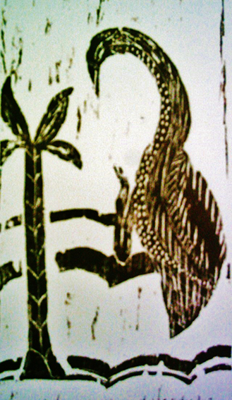 2 - a descoberta e a surpresa.JPG