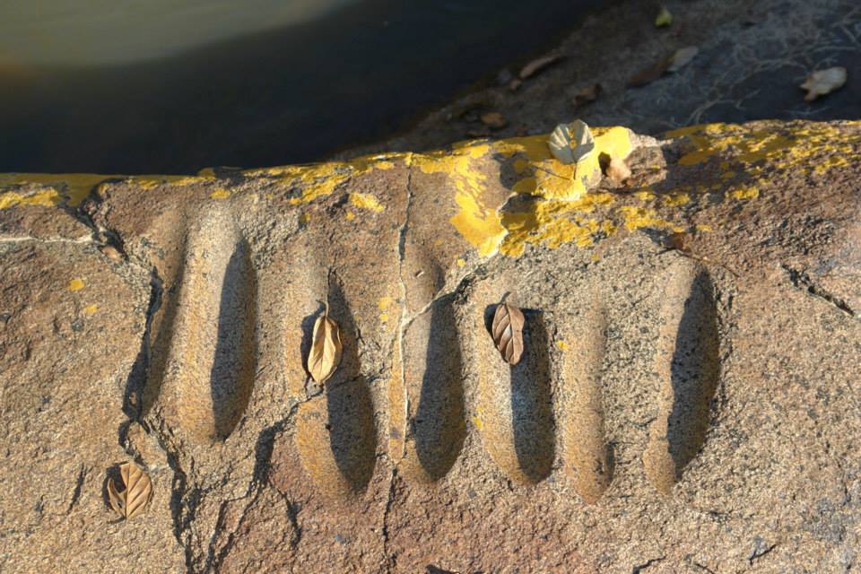 Foto Joaquim Cunha - oficina lítica - Rio Bambu2 - Sta Luzia do Oeste.jpg