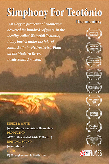 Cartaz - Sinfonia Para Teotônio - 2016.jpg