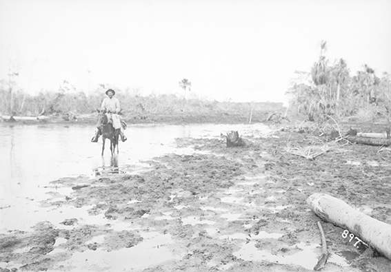 897 - Cavaleiro_em_Trecho_Inundado_Pela_Cheia_do_Rio_Madeira_-_,_Acervo_do_Museu_Paulista_da_USP_(cropped).jpg