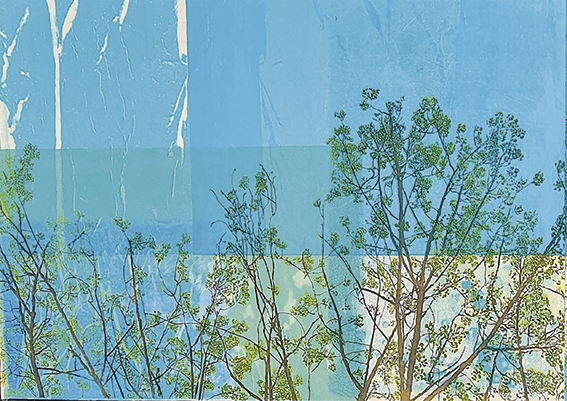 Chrysav_A new landscape  - chrys chrys1.jpg