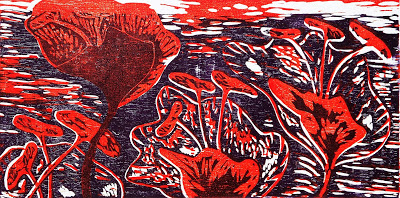 AAAAS17 - danca dos hibiscos- xilogravura.jpg