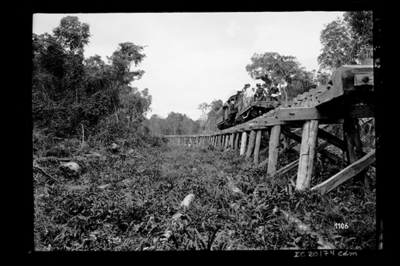 1106 - O_Trem_em_Trecho_da_Ferrovia_Madeira-Mamoré_-_,_Acervo_do_Museu_Paulista_da_USP.jpg