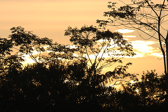 Nilson Santos (2018)_11.png