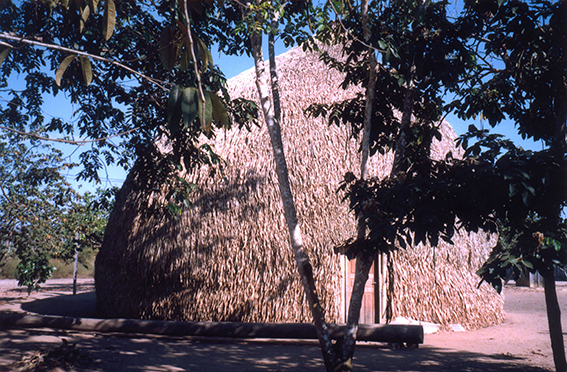 Nilson Santos (2004)_21.png