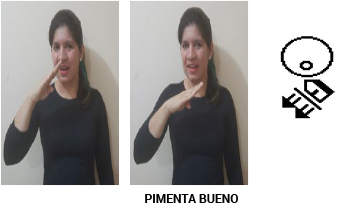 Município de Pimenta Bueno.jpg