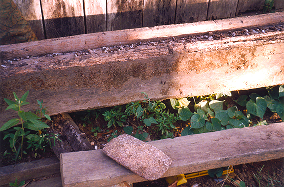 Nilson Santos (2004)_3.png