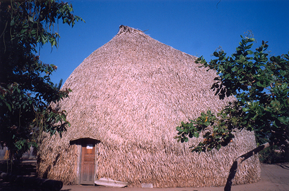 Nilson Santos (2004)_22.png