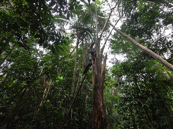 Elisabete Christofoletti (2019)_4.png