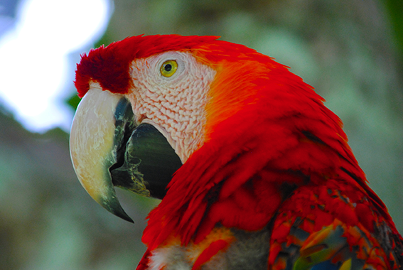 Nilson Santos (2018)_5.png