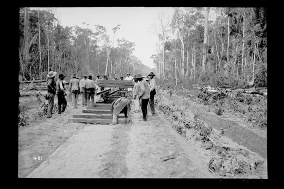 481 - Trabalhadores_Executam_Assentamento_de_Dormentes_e_Trilhos_em_Trecho_da_Ferrovia_Madeira-Mamoré_-_,_Acervo_do_Museu_Paulista_da_USP.jpg