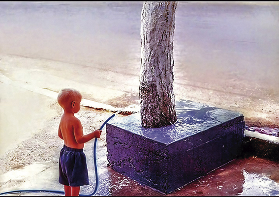 iamgem-transformed (1) - Prof. Fernando Dias.jpeg