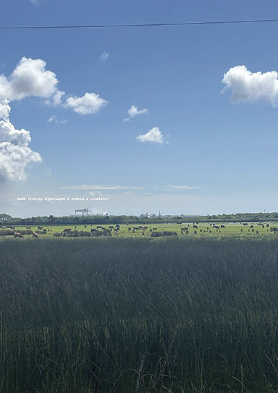 edited_img_2 - Juliana D_Elia.jpg